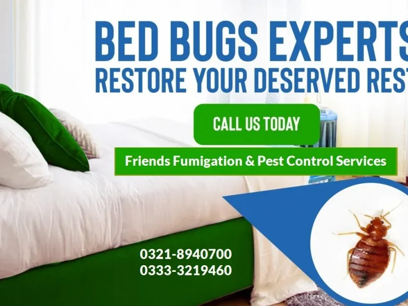 Fumigation Services in Karachi - Contact Friends Fumigation Services 0333-3219460