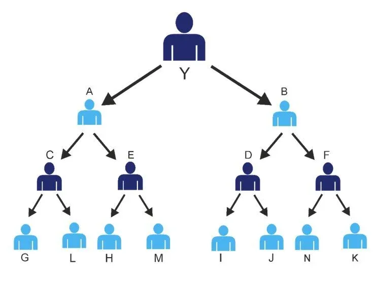 Binary MLM eCommerce Plan | Multilevel Binary Affiliate Tree (MLM) Software in WooCommerce with Customization