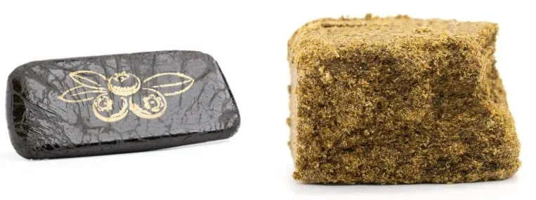 Explore the Best Hash Options