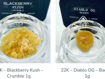 Experience Excellence with Our Premium Cannabis Concentrates