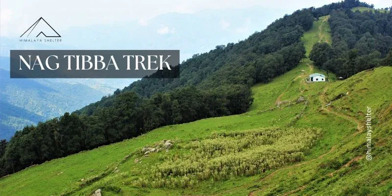 Explore the Nag tibba trek with Himalaya Shelter!