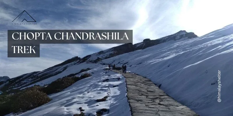 Explore the beauty of Chopta chandrashila trek with Himalaya Shelter!