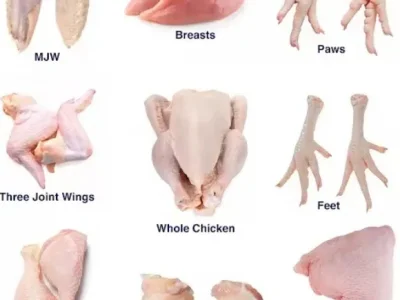 Wholesale Frozen Chicken, Bovine Beef Wholesale