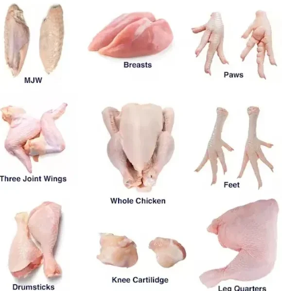 Wholesale Frozen Chicken, Bovine Beef Wholesale