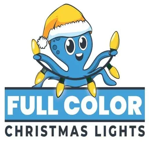 Full Color Christmas Lights