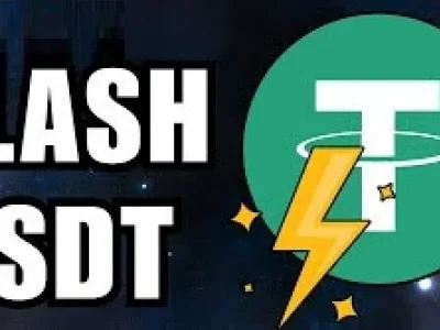 Maximize Your Crypto Flexibility with USDT Flash Tool