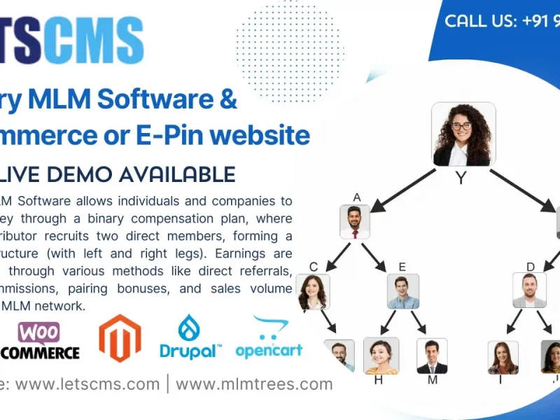 Affordable Binary MLM Software Solutions | Binary MLM Plugins, Code & Scripts