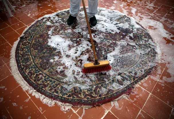 Expert Oriental Rug Cleaning in Chicago