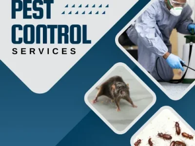 Reclaim Your Space with Northcote's #1 Pest Control Team