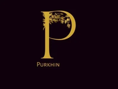 Discover Timeless Elegance with Purkhin: Ethnic Dresses for Women