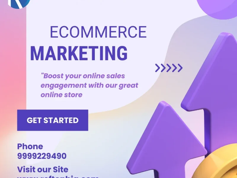 Ecommerce marketplace account management servicesin delhi India