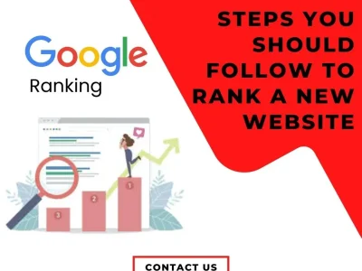 How to Rank Your New Website Quickly? Bizvertex Can Help Affordably!